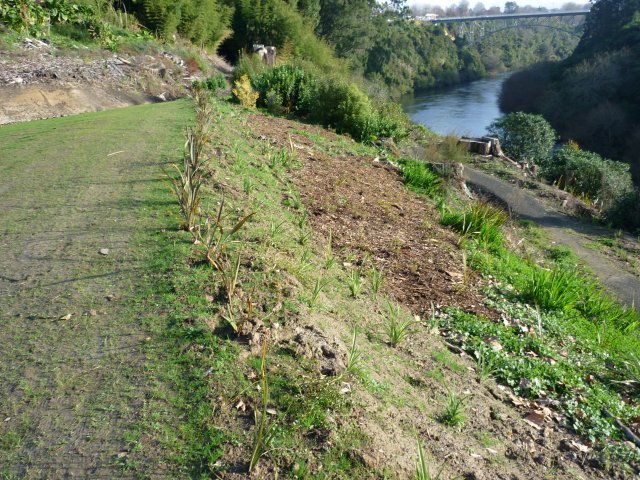 River terrace. July 2010. Cambridge Tree Trust